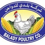 بلدي للدواجن