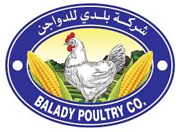 بلدي للدواجن